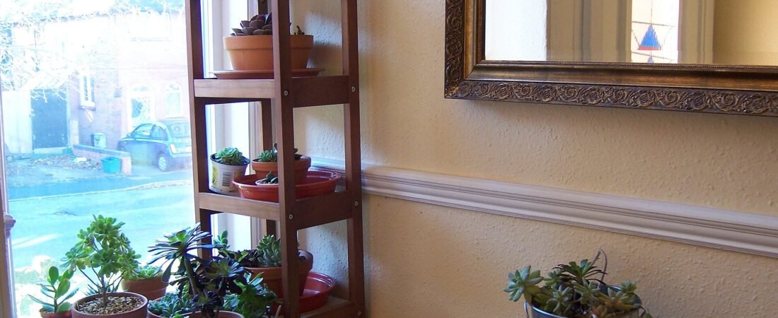 The Best Plant Stands: What Actually Works in a Real Home