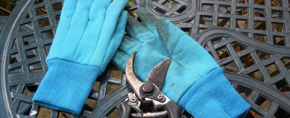 The Best Pruning Shears for Plants (2026 Buyer’s Guide)