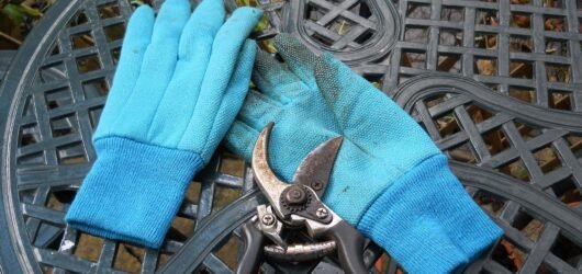 Plant Tools