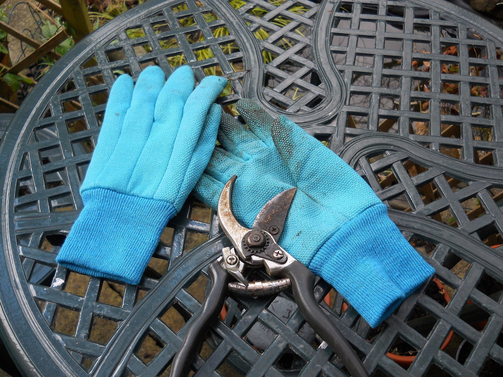The Best Pruning Shears for Plants (2026 Buyer’s Guide)