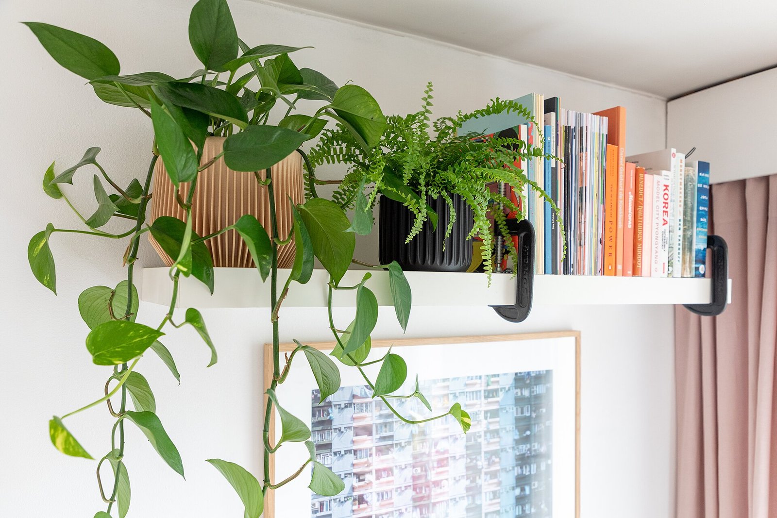 The Best Self-Watering Pots for Houseplants (And How to Actually Use Them)
