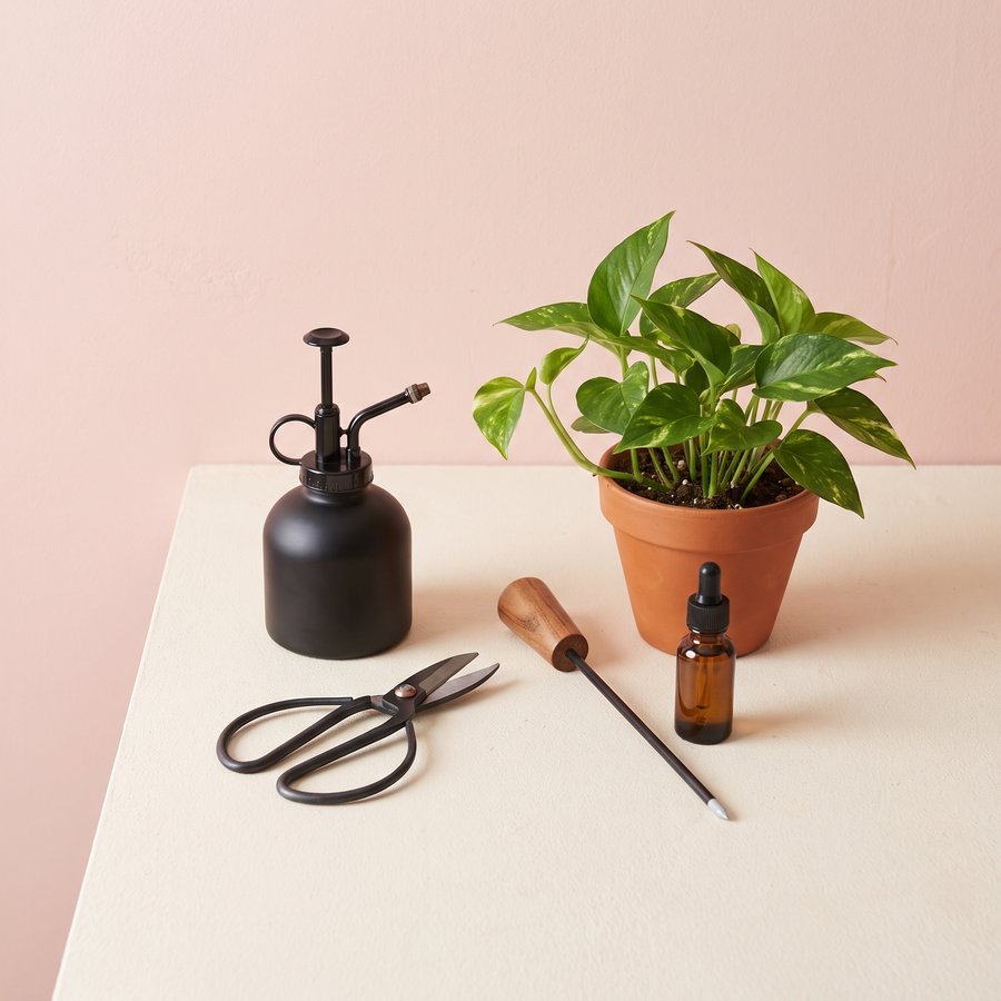 A black plant mister, pruning snips, moisture meter and fertilizer dropper beside a pothos