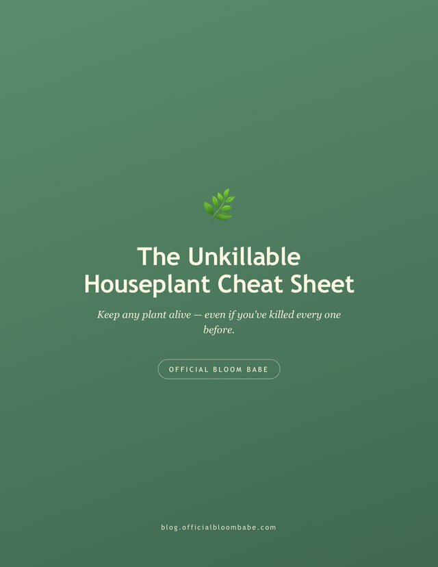 Cover of the Unkillable Houseplant Cheat Sheet, a free guide from Official Bloom Babe