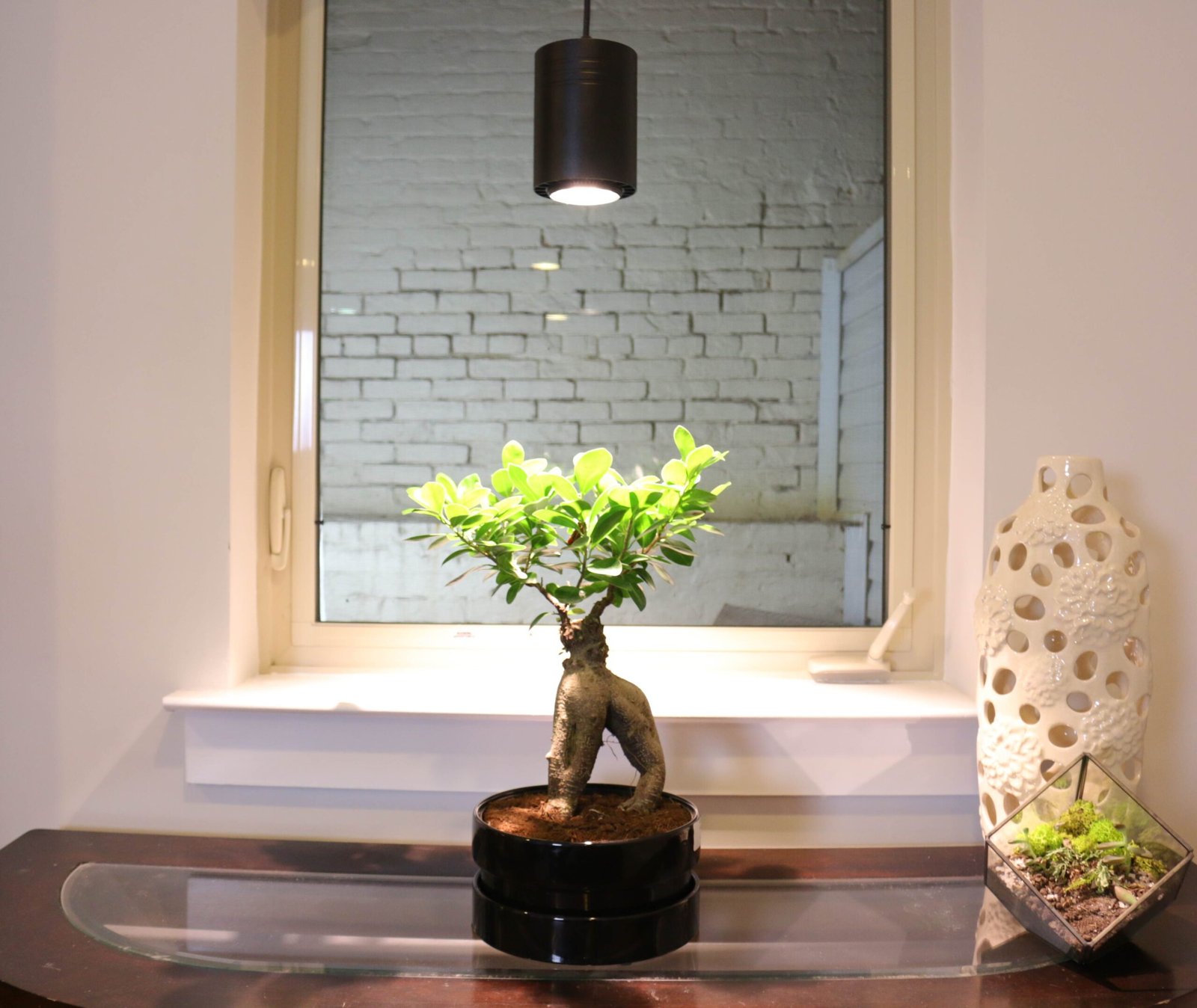 The Best Grow Lights for Indoor Plants (2026 Buyer’s Guide)