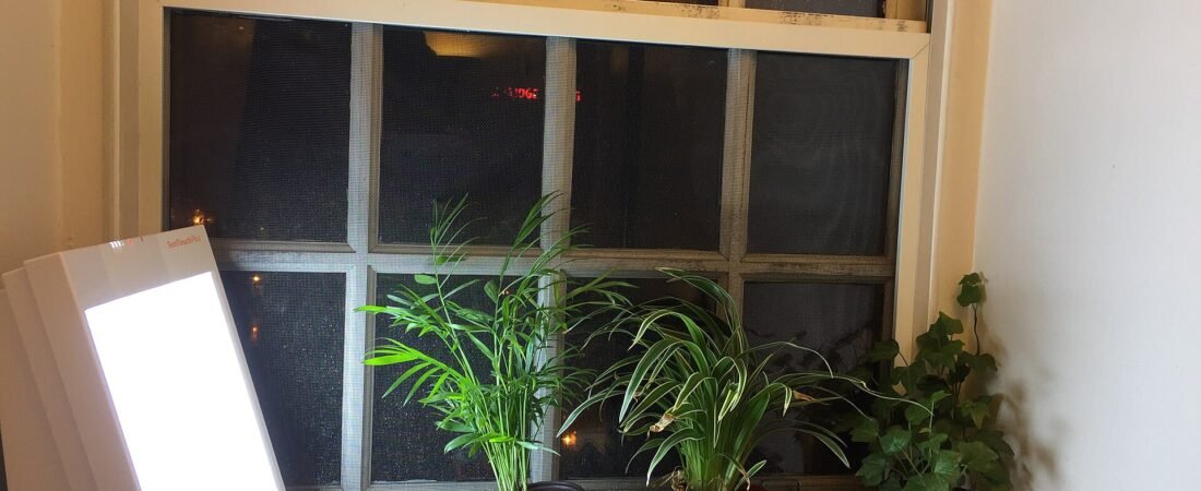 The Best Supplies for an IKEA Greenhouse Cabinet