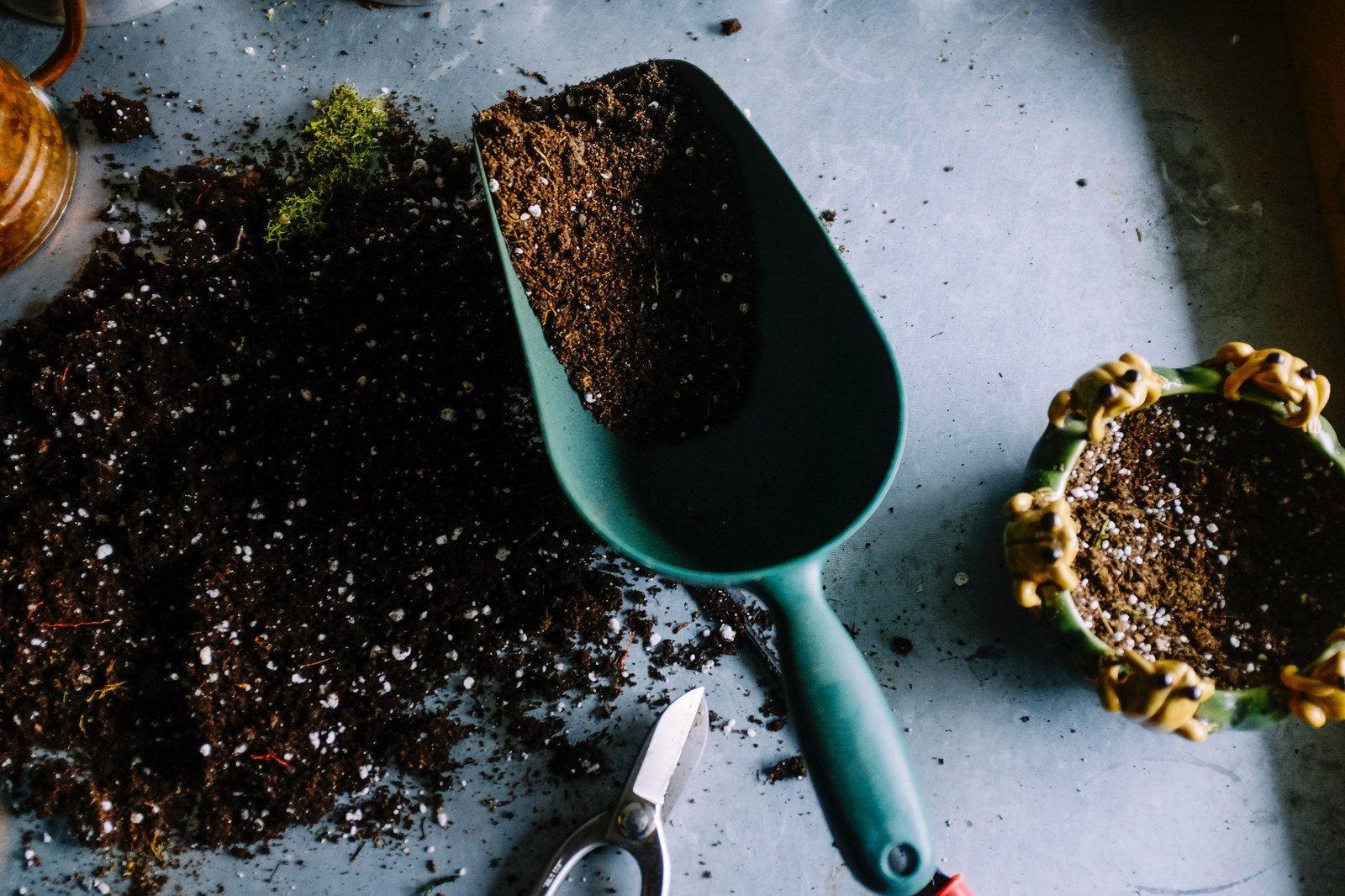 Potting Soil Types, Explained: What’s in the Bag and Which One Your Plant Wants