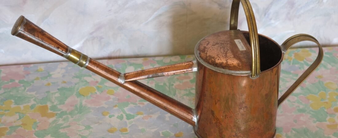 The Best Watering Cans for Indoor Plants