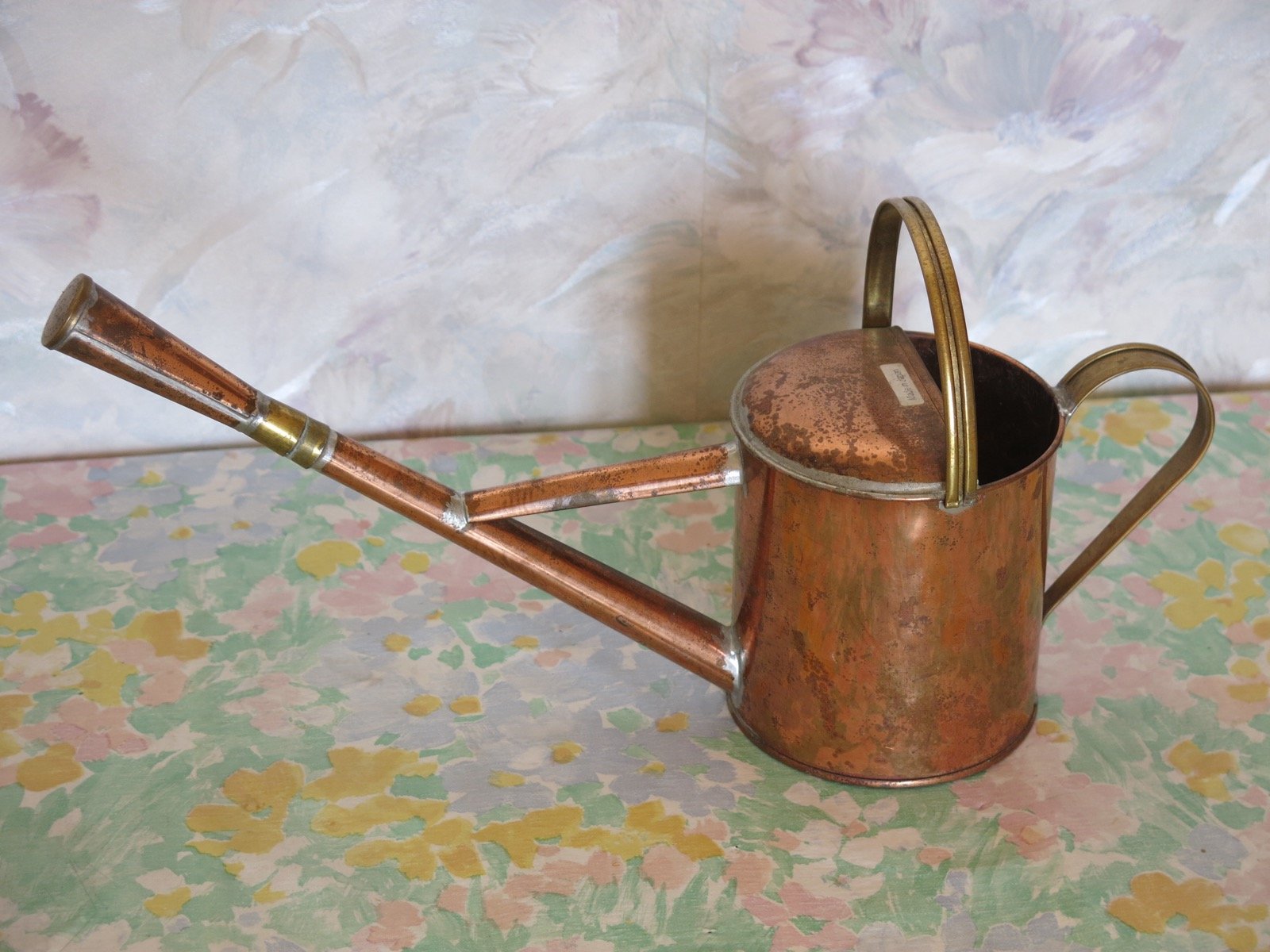 The Best Watering Cans for Indoor Plants