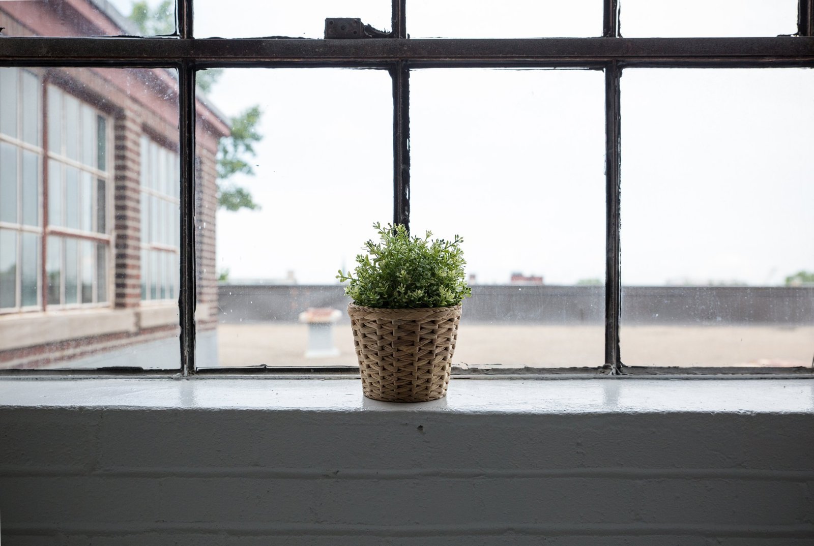 Seasonal Plant Care: How to Adjust Your Routine Through the Year