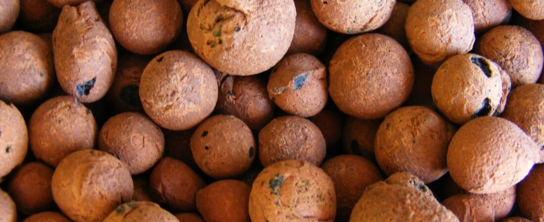 Soilless Growing Mediums & Semi-Hydro, Explained