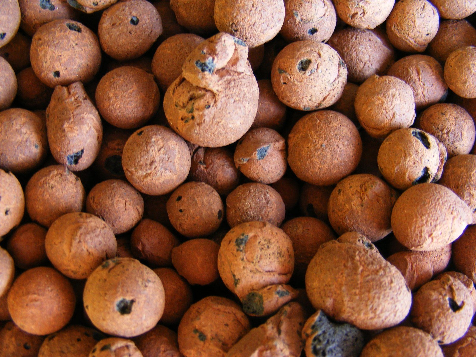 Soilless Growing Mediums & Semi-Hydro, Explained